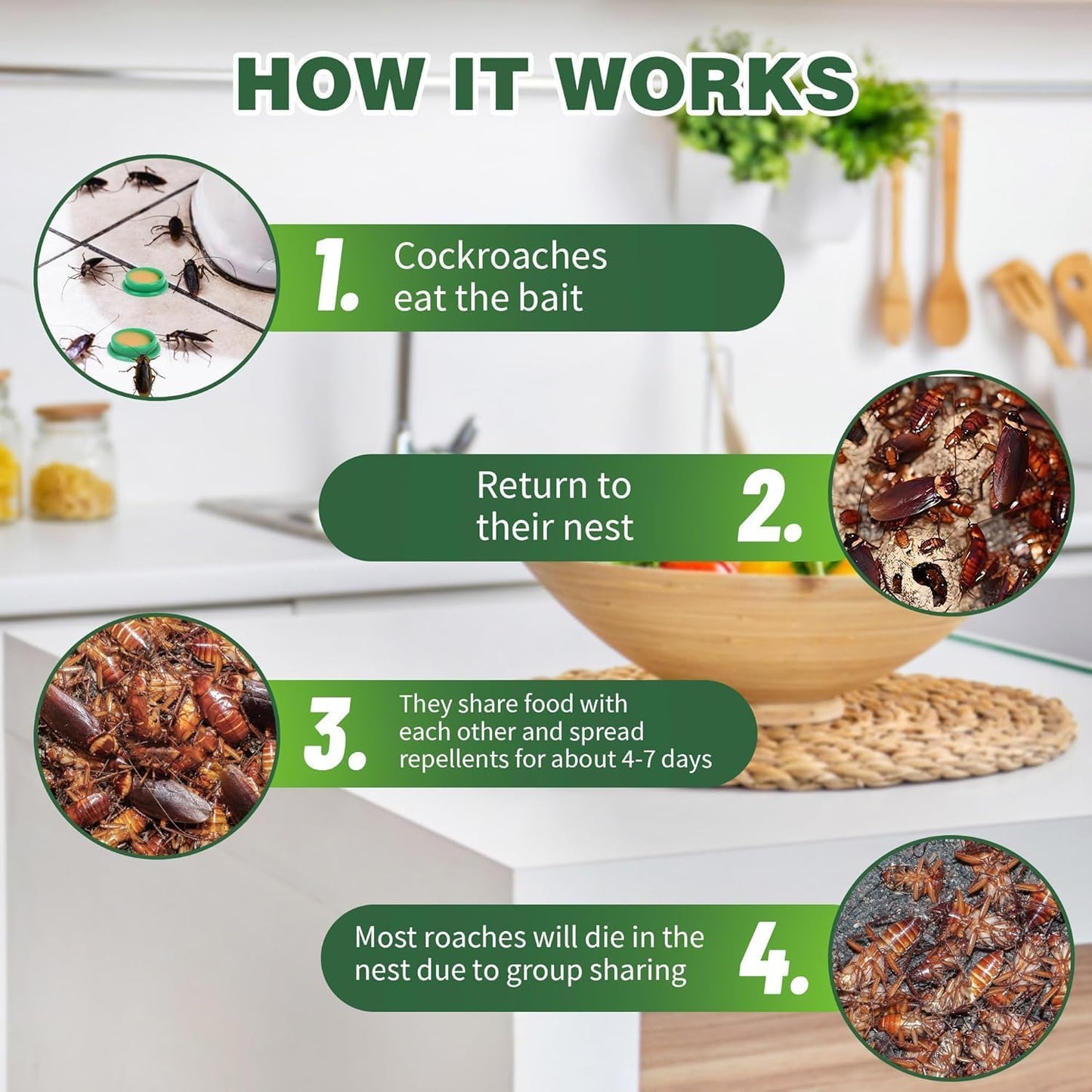 Cockroach Killer Gel Pack of 12 (Buy 1 Get 1 Free)