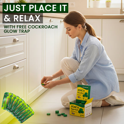 Cockroach Killer Gel Pack of 12 (Buy 1 Get 1 Free) + Free Glue Trap