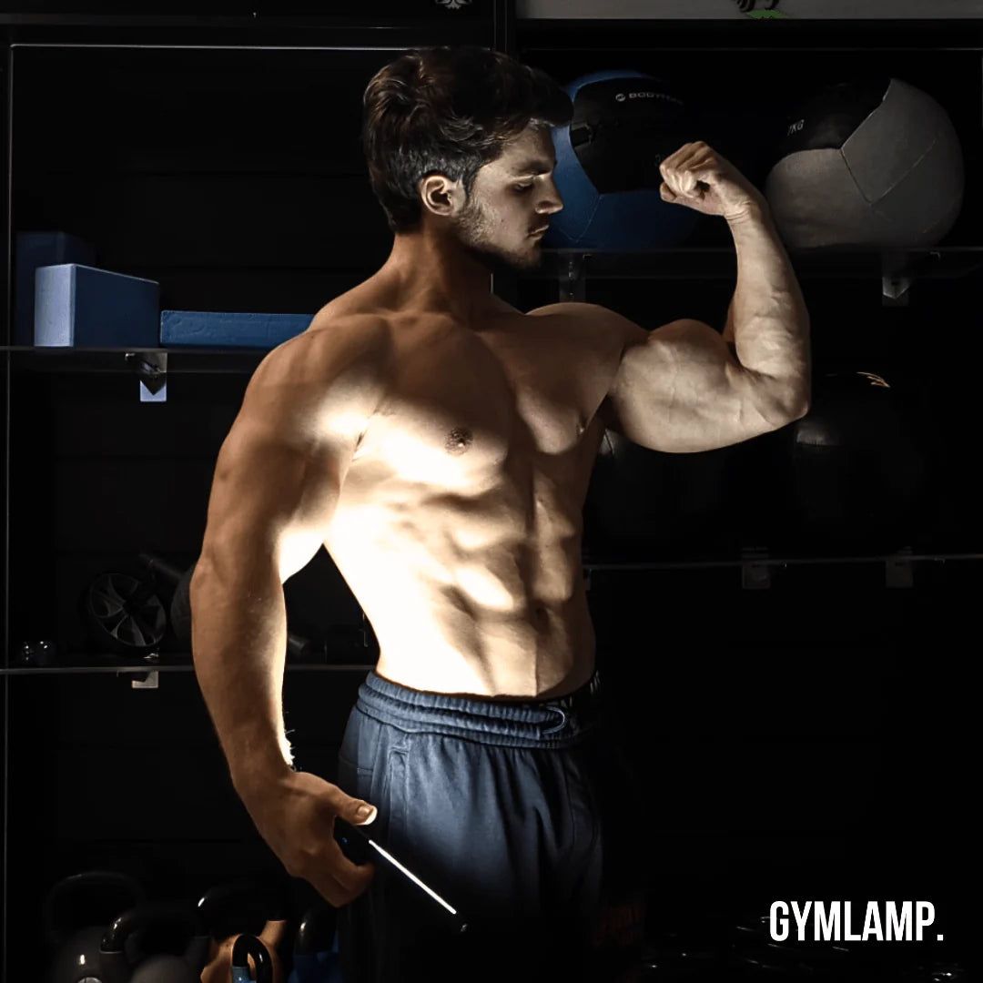 Professional GYMLAMP™