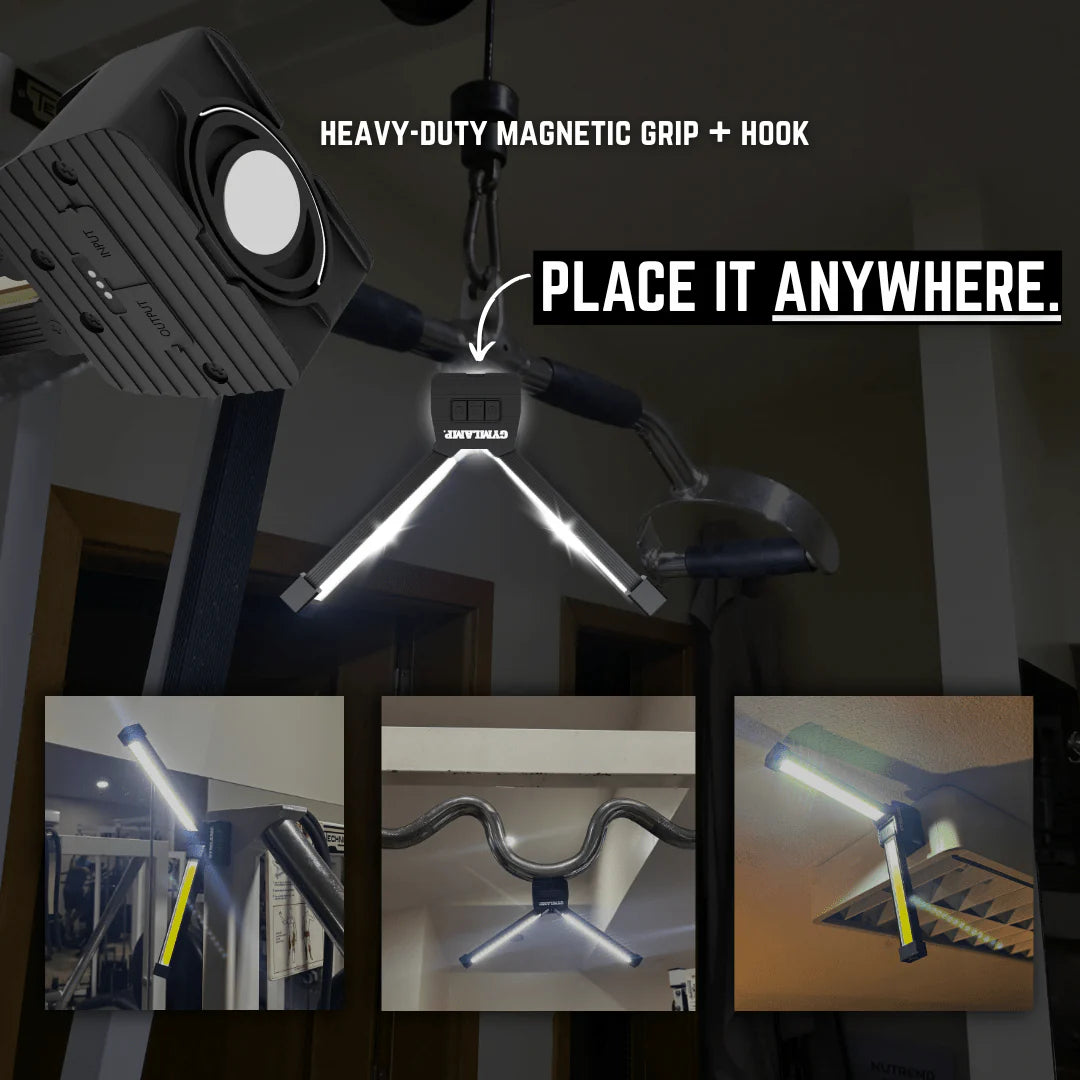 Professional GYMLAMP™